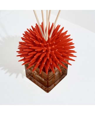 Ricciocaprese Diffuseur de parfum Corail