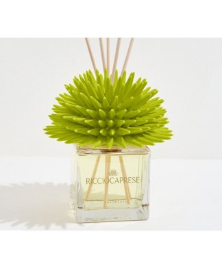 Ricciocaprese Diffuseur de...