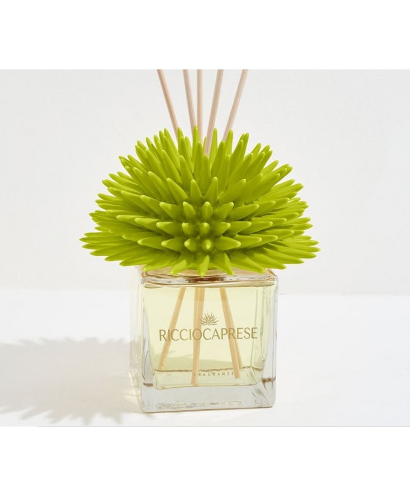 Ricciocaprese Diffuseur de parfum Vert citron