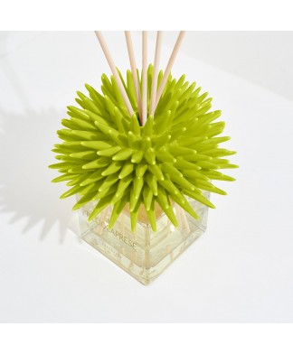Ricciocaprese Diffuseur de parfum Vert citron