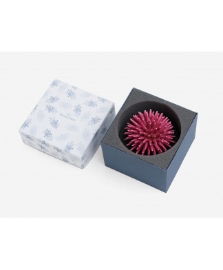 Ricciocaprese Decor - Oursin