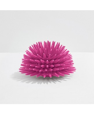 Ricciocaprese Decor - Oursin