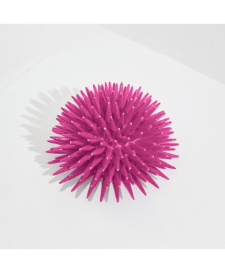 Ricciocaprese Decor - Oursin